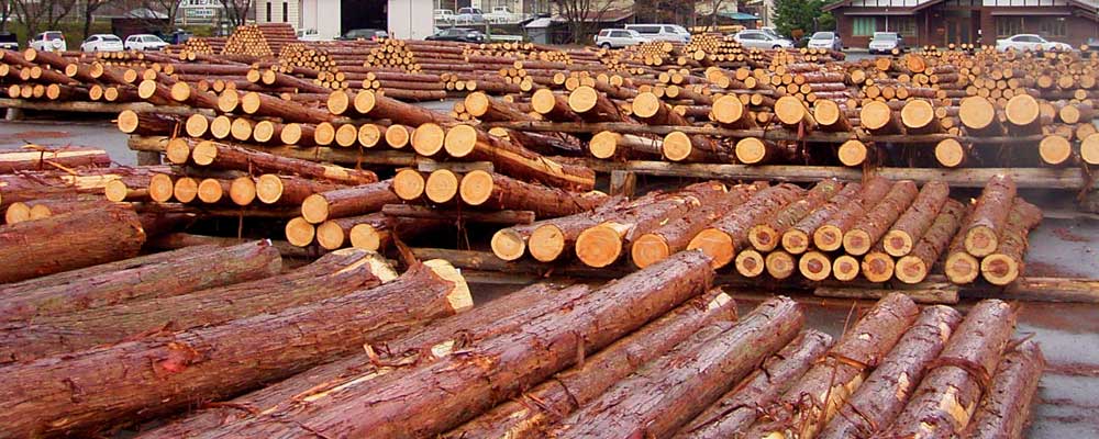 東濃材の木材市場